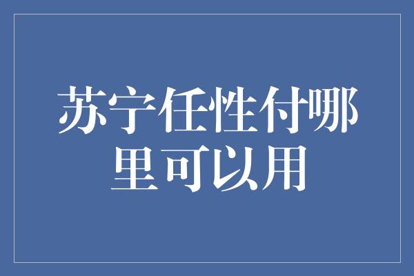 苏宁任性付哪里可以用