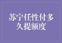 苏宁任性付：如何通过科学理财和良好信用习惯提升额度