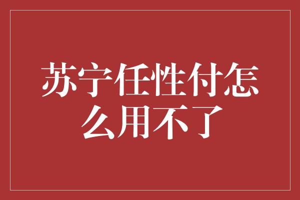 苏宁任性付怎么用不了