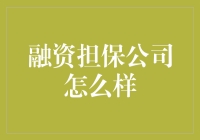 融资担保公司：在风险与收益间寻找平衡