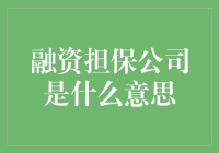 融资担保公司是什么鬼？揭秘那些神秘的托拉斯