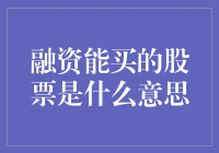 股市新手小明的冒险：探寻融资能买的股票之谜