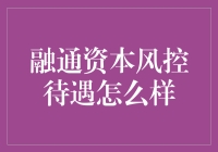 融通资本风控待遇怎么样：探究专业化金融服务公司的风险管理解决方案