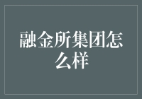 融金所集团：科技驱动的金融创新领军者