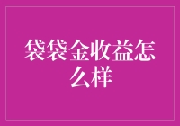 袋袋金收益详情解析：稳健理财新选择