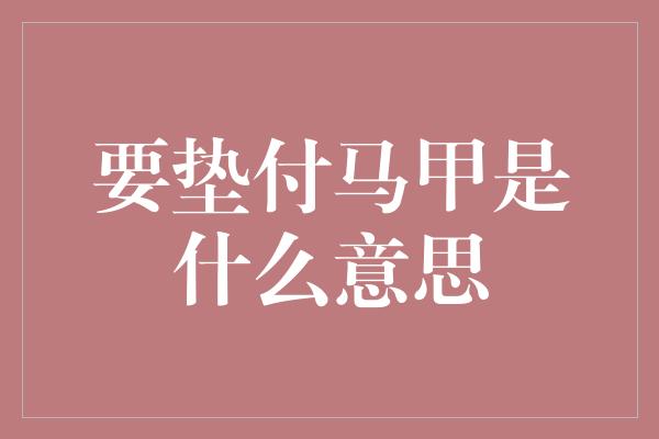 要垫付马甲是什么意思