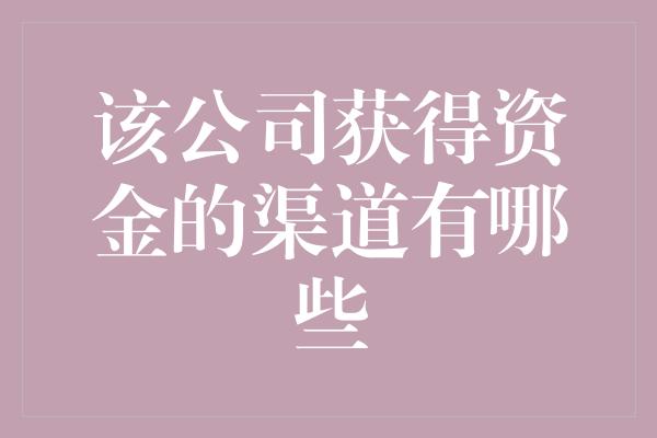 该公司获得资金的渠道有哪些