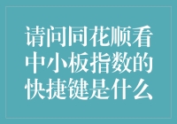 同花顺快捷键大冒险：寻找那传说中的中小板指数