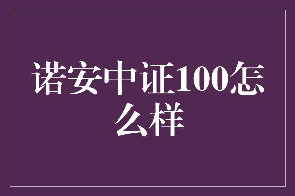 诺安中证100怎么样