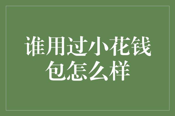 谁用过小花钱包怎么样