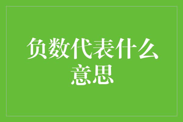 负数代表什么意思