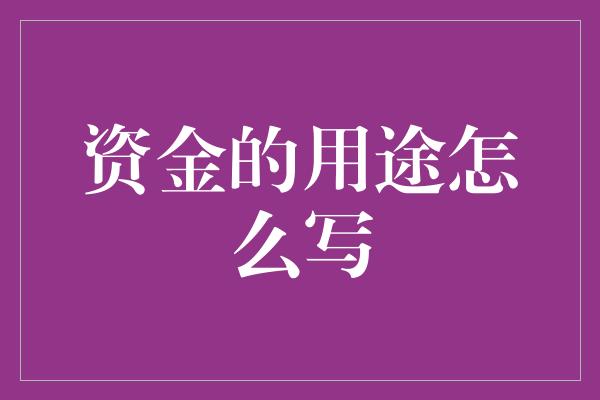 资金的用途怎么写