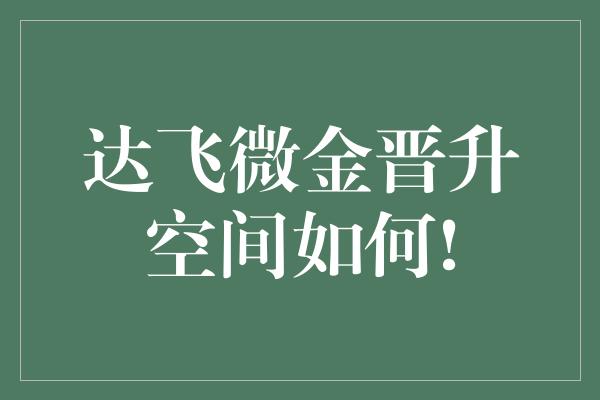 达飞微金晋升空间如何!