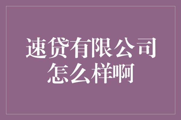 速贷有限公司怎么样啊