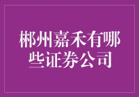 郴州嘉禾的证券公司概述与投资环境分析