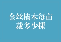 金丝楠木魔法种植：您的每亩土地如何变成黄金宝地？