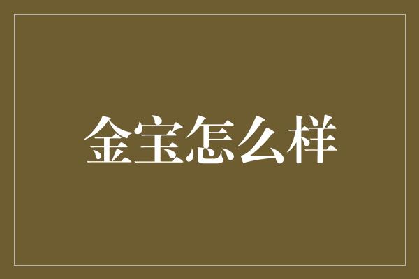 金宝怎么样