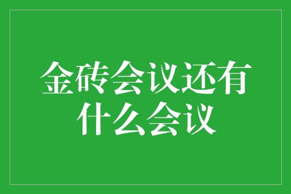 金砖会议还有什么会议