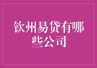 钦州易贷：探寻金融市场的隐藏高手