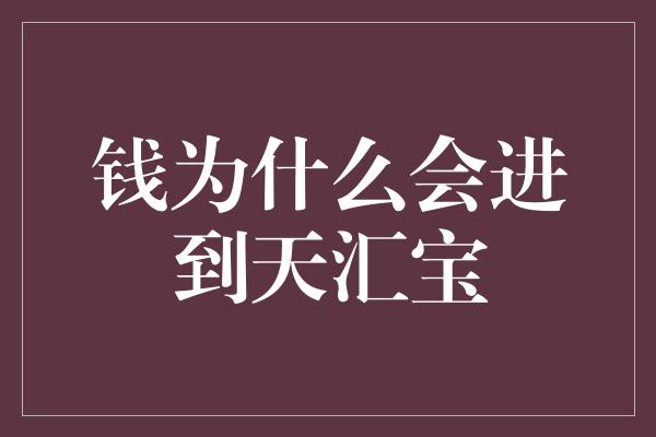 钱为什么会进到天汇宝