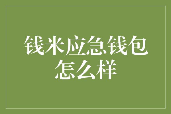 钱米应急钱包怎么样