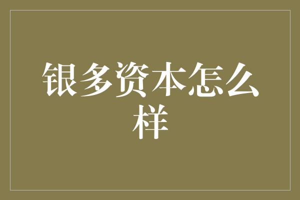 银多资本怎么样