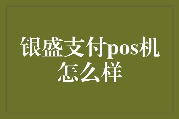 银盛支付pos机怎么样