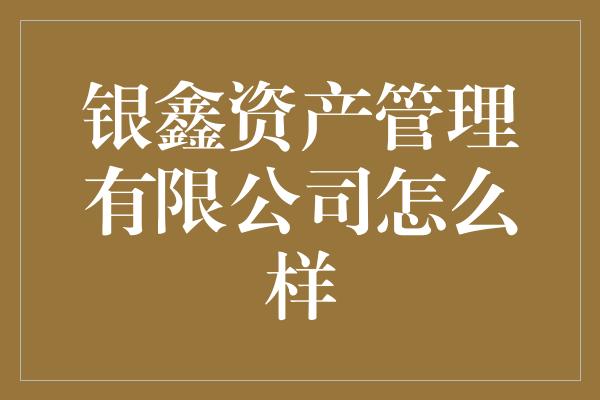 银鑫资产管理有限公司怎么样