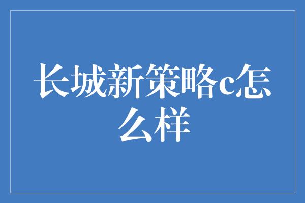 长城新策略c怎么样