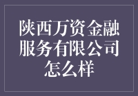 陕西万资金融服务有限公司：一个金融界的绿巨人浩克