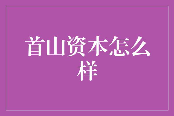 首山资本怎么样