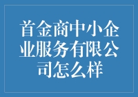 我怎样看待首金商中小企业服务有限公司？