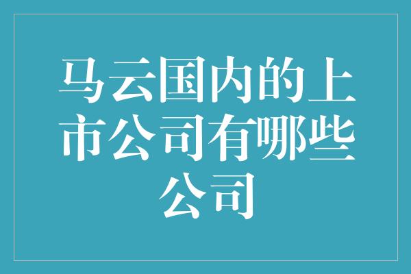 马云国内的上市公司有哪些公司