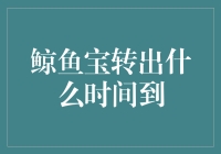 鲸鱼宝提现到账时间解析：理财安全与便捷的平衡之道