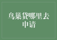 鸟巢贷申请指南：从申请到审核的全流程解析