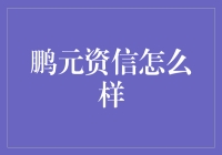 深入探秘：鹏元资信的神秘面纱