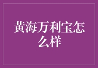 黄海万利宝：理财新宠儿，还是黄海万骗宝？