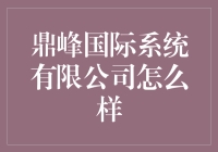 鼎峰国际系统有限公司：一家值得信赖的公司吗？