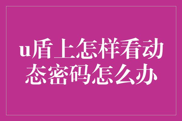 u盾上怎样看动态密码怎么办