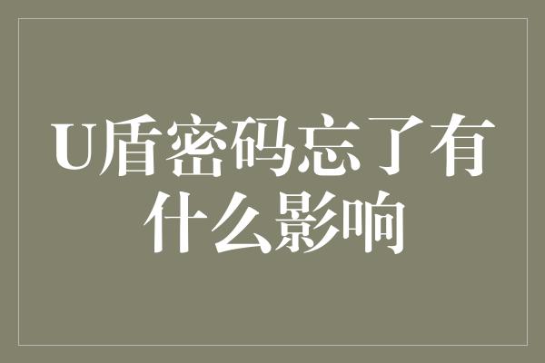 U盾密码忘了有什么影响