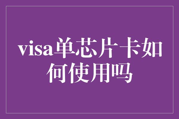 visa单芯片卡如何使用吗